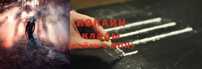 Cocaine Эквадор  купить наркоту  Кашин 